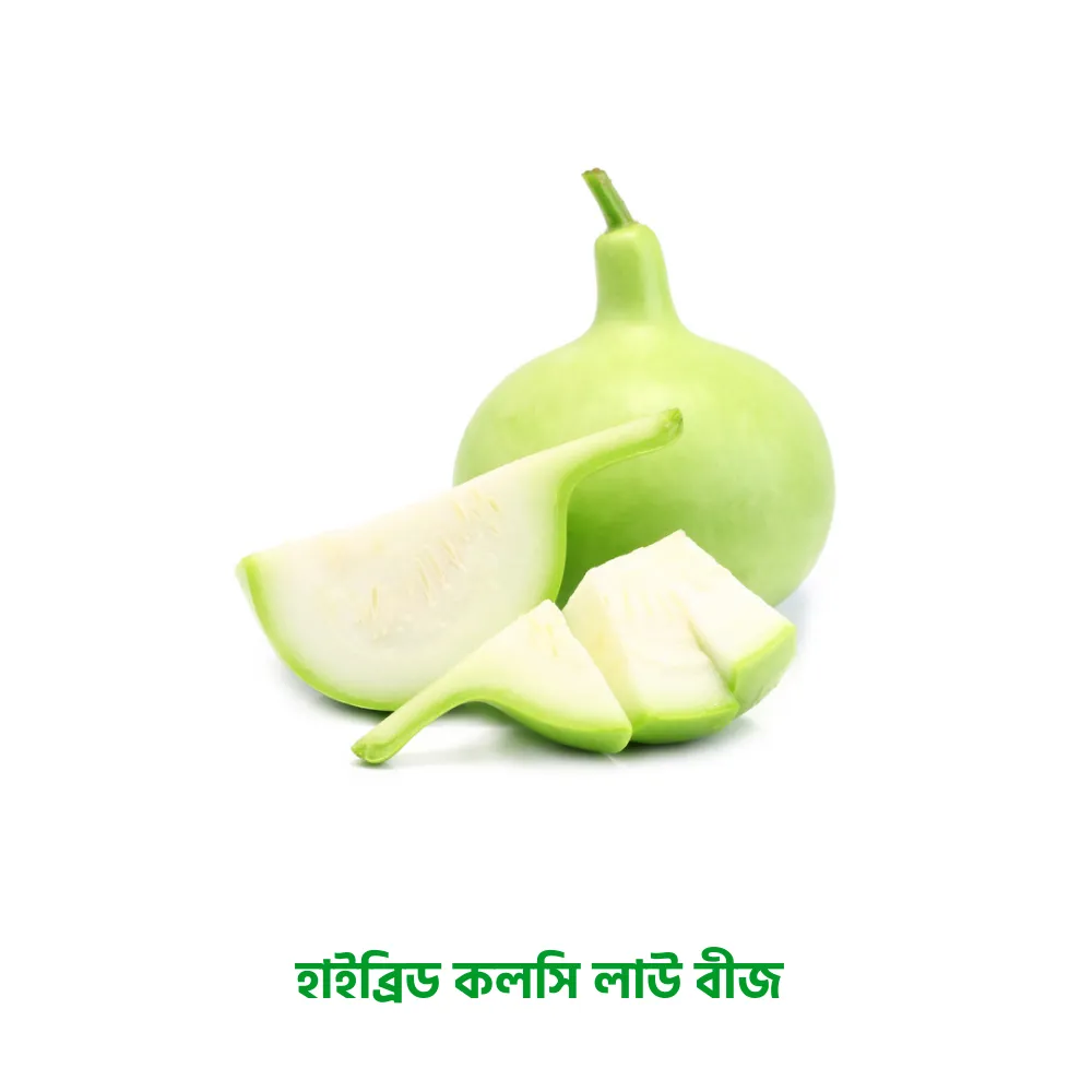 হাইব্রিড কলসি লাউ বীজ